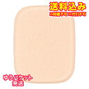ゆうパケット)ソフィーナ プリマヴィスタ パウダーファンデーション用 スポンジ別売り 1PCS