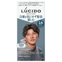 【医薬部外品】ルシード デザインヘアカラー クールアッシュ 2A
