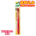 ゆうパケット)エビス プレミアムケア 6列コンパクト ふつう 1本※ハンドルカラーの指定はできません。