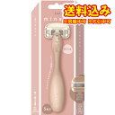 定形外)マイネス ボディ用 カミソリ ホルダー 本体+替刃2個 GA0130 1セット