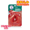 ゆうパケット)メンソレータム リップフォンデュ プラムレッド 3.2g