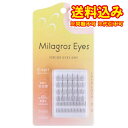 ゆうパケット)華美 MilagrosEyes ミラグロスアイズ つけまつげ No.06 1セット