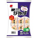 三幸製菓 ミニサラダ 九州醤油味 60g(2枚×11袋)×16個