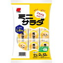 三幸製菓 ミニサラダ しお味 61g(2枚×12袋)×16個