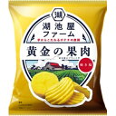 コイケヤファーム 黄金の果肉焼き塩 55g×12個