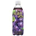 三ツ矢 特濃グレープスカッシュ PET 500mL×24個