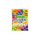 アサヒグループ食品 バヤリースとろける果実のど飴 120g×6個