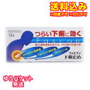 ゆうパケット)【第(2)類医薬品】ファスコン下痢止め 12錠【セルフメディケーション税制対象】(使用期限2026年9月)