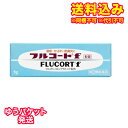 ゆうパケット)【第(2)類医薬品】フルコートF 5g