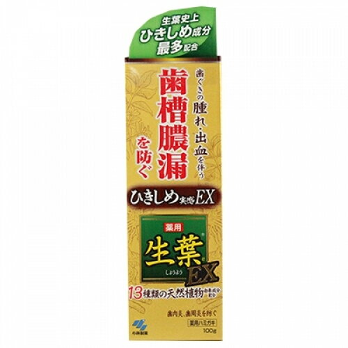 【医薬部外品】小林製薬　薬用ハミガキ　生葉EX　100g