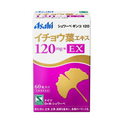 シュワーベギンコ　120（イチョウ葉エキス）60粒　※取り寄せ商品　返品不可