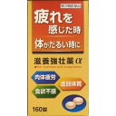 【第3類医薬品】皇漢堂 滋養強壮薬α 160錠
