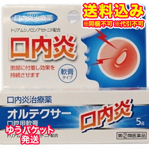 ゆうパケット)【第(2)類医薬品】オルテクサー 口腔用軟膏 5g【セルフメディケーション税制対象】