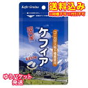 【ゆうパケット送料込み】ケフィア...