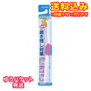 ゆうパケット)エビス ポイントブラシ 磨き残し対策 ふつう 1本※ハンドルカラーの指定はできません。