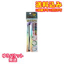 ゆうパケット)パイロット 水性サインペン Vペン