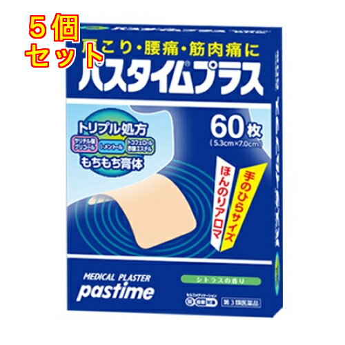 【第3類医薬品】パスタイムプラス 60枚【セルフメディケーション税制対象】×5個
