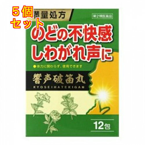 【第2類医薬品】響声破笛丸エキス顆粒G　12包×5個