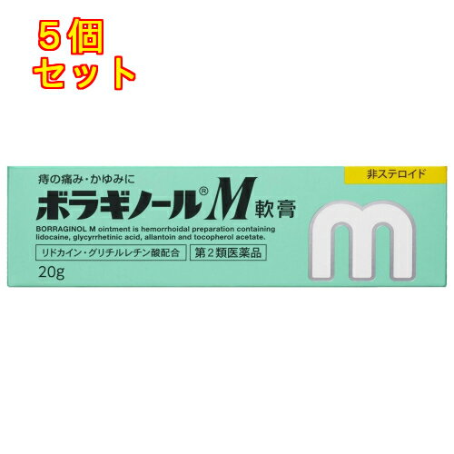 【第2類医薬品】ボラギノールM軟膏　20g×5個