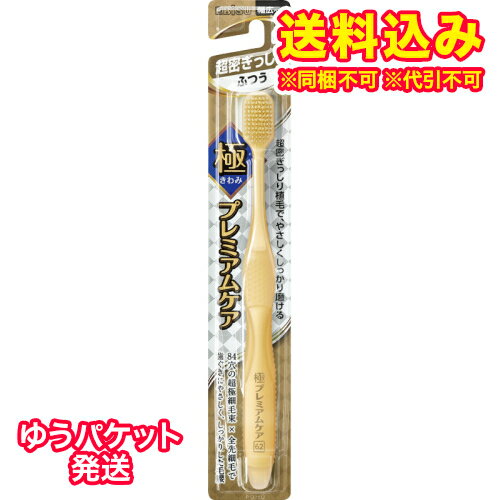 ゆうパケット）極プレミアムケア 超密ぎっしり ふつう