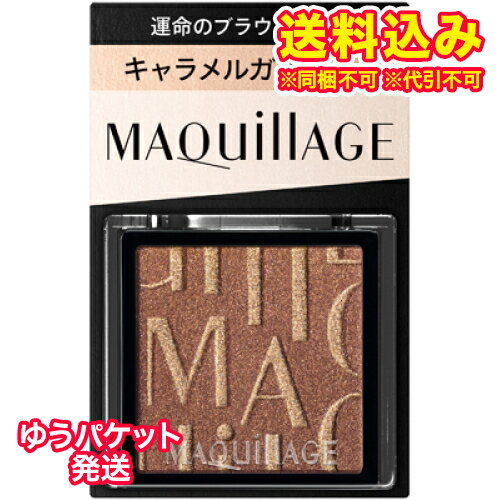 Maquillage - ゆうパケット）マキアージュ　カスタマイズアイカラー　シングル　運命のブラウンカラー　BR533　キャラメルガナッシュ