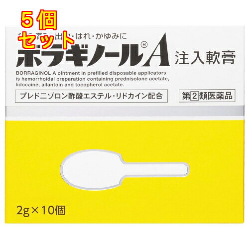 【第(2)類医薬品】ボラギノールA注入軟膏（2g×10個）×5個