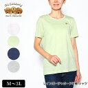 Tシャツ 半袖 GuGu World（グーグーワールド） レインボージャガードTシャツ レディース tシャツ 薄手 ミニチュアシュナウザーの刺繍 M L LL 3L オフ ライトグリーン ネイビー グレー 夏 2224w