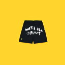 EH[^[ U vg WATER THE PLANT SMILEY FLOW SHORTS V[c WTP010 BLACK ubN