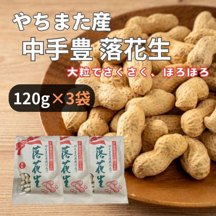 <やちまたフーズ> 千葉県八街産 中手豊クラフト 120g×3袋 おつまみ 厳選 無塩 無添加 高級 ナッツ お試し 素煎り お土産 やちまた産 落花生 大容量
