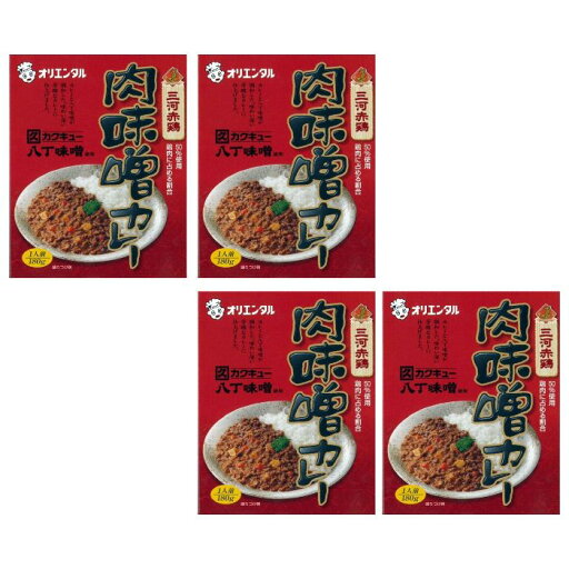 【4袋セット】肉味噌カレー 【4袋セット】肉味噌カレー