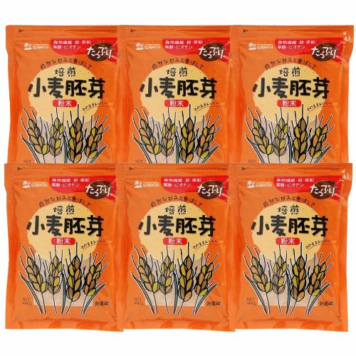 6ĥåȡϷ ʴ 400g ŷ ̵ź פʿźʪ  Ѥ ʪ Ŵʬ  ޥͥ ջ...
