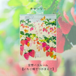 チャーリー 空想バスルーム 【いちご畑でつかまえて】 リラックス 癒しグッズ 入浴剤 入浴料 お風呂 おしゃれ 可愛い バスソルト バスソルト&ハーブ バスバッグ