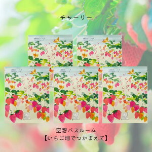 チャーリー 空想バスルーム 【いちご畑でつかまえて】5袋セット リラックス 癒しグッズ 入浴剤 入浴料 お風呂 おしゃれ 可愛い バスソルト バスソルト&ハーブ バスバッグ