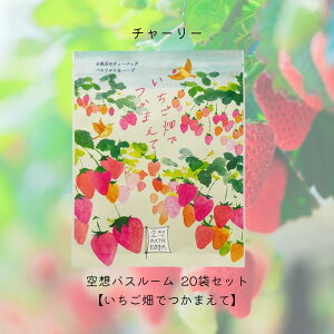 【まとめ買い】チャーリー 空想バスルーム 【いちご畑でつかまえて】20袋セット リラックス 癒しグッズ 入浴剤 入浴料 お風呂 おしゃれ 可愛い バスソルト バスソルト&ハーブ バスバッグ