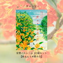 【まとめ買い】チャーリー 空想バスルーム 【君おもう木犀の花】20袋セット リラックス 癒しグッズ 入浴剤 入浴料 お風呂 おしゃれ 可愛い バスソルト バスソルト&ハーブ バスバッグ