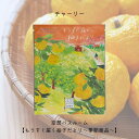 チャーリー 空想バスルーム 【もうすぐ届く柚子だより ~季節商品~】 リラックス 癒しグッズ 入浴剤 入浴料 お風呂 おしゃれ 可愛い バスソルト バスソルト&ハーブ バスバッグ
