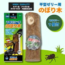 マルカン 平型ゼリー用 のぼり木 1本 ゼリー1個付 ペット用品 昆虫 クワガタ カブトムシ 昆虫ゼリー 皿 のぼり木 エサ皿 夏休み