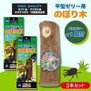 【2本セット】マルカン 平型ゼリー用 のぼり木 ゼリー1個付 ペット用品 昆虫 クワガタ カブトムシ 昆虫ゼリー 皿 のぼり木 エサ皿 夏休み