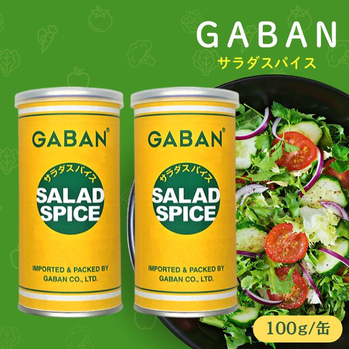 【2本セット】ギャバン サラダスパイス 100g 缶入 GABAN 調味料 シーズニング スパイス アウトドア 香辛料のサムネイル