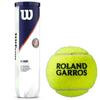 ウイルソン（Wilson）テニスボール ROLAND GARROS ALL COURT 4 Ball WRT116400