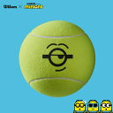 EC\iWilsonj~jIY W{ {[ (MINIONS JUMBO BALL) WR8202801001