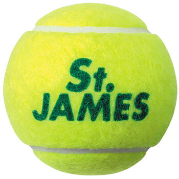 ダンロップ(DUNLOP) 硬式テニスボール セントジェームス (St.JAMES) 4球入缶 (15缶60球×2箱 合計120球)