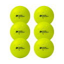 ダイアデム(DIADEM)パワーピックルボール ボール（Power Pickeleball Ball) 6個入 TPB002