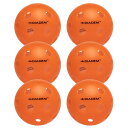 _CAf(DIADEM)p[sbN{[ ChA{[iPower Pickeleball Indoor Ball) 6 TPB006