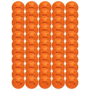 ダイアデム(DIADEM)オフィシャルピックルボール インドアボール(Power Pickeleball Indoor Ball) 50個入 TPB008