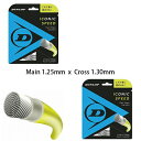 【DUNLOP×LAFINO CHOICE テラチ・ハイブリッド】【張り上げ限定商品】DUNLOP ICONIC SPEED 125 × DUNLOP ICON...