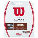 【発売開始】Wilson（ウイルソン）ハ