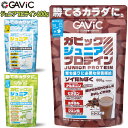 GAViC ガビック GC4000 ジュニアプロテイン 600g サプリメント アルギニン ビタミン ミネラル クエン酸