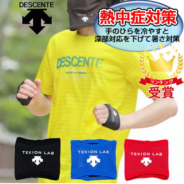 大特価 デサント（DESCENTE） 熱中症対策 深部体温を下げるコアクーラー 適温蓄冷材付き（2個入り両手用） DAT-9000のサムネイル