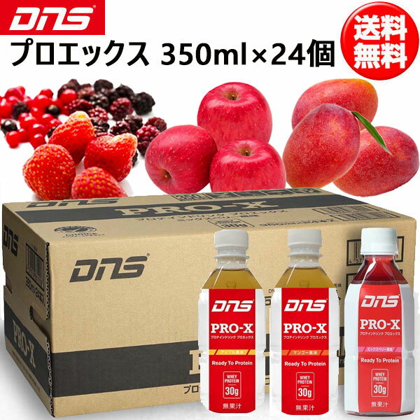 DNS ǥ̥ Pro-X ץå 1Ȣ 350ml24 ꡼ȥץƥ dns ¨Ǽ